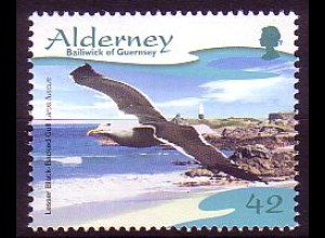 Alderney Mi.Nr. 282 Seevogel: Heringsmöwe (42)