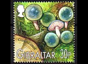 Gibraltar Mi.Nr. 1055 Einheimische Pilze Anisrichterling (30)