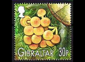 Gibraltar Mi.Nr. 1056 Einheimische Pilze Schwefelkopf (30)