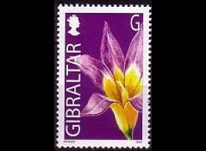 Gibraltar Mi.Nr. 1095 Wildblumen: Romulea clusiana (G)