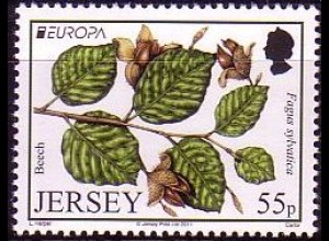 Jersey Mi.Nr. 1537 Laubbäume; EUROPA: Wald, Rotbuche (55)