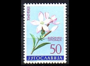 Jugoslawien Mi.Nr. 948 Jugoslawische Flora, Seifenkraut (50)