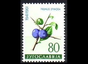 Jugoslawien Mi.Nr. 950 Jugoslawische Flora, Schlehdorn (80)
