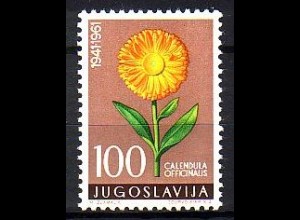 Jugoslawien Mi.Nr. 951 Jugoslawische Flora, Ringelblume (100)