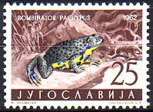 Jugoslawien Mi.Nr. 1009 Jugoslawische Fauna, Unke (25)