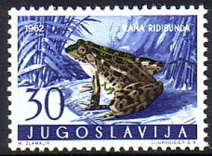 Jugoslawien Mi.Nr. 1010 Jugoslawische Fauna, Frosch (30)