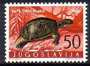 Jugoslawien Mi.Nr. 1011 Jugoslawische Fauna, Schildkröte (50)