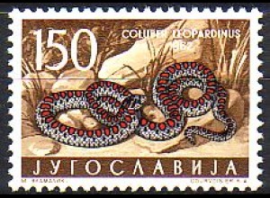 Jugoslawien Mi.Nr. 1014 Jugoslawische Fauna, Natter (150)