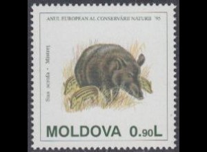 Moldawien Mi.Nr. 160 Europ.Naturschutzjahr, Wildschwein (0,90)