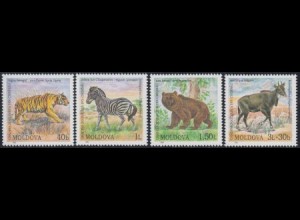 Moldawien Mi.Nr. 397-400 Zoo Chisinau, Tiger, Zebra, Bär, Antilope (4 Werte)