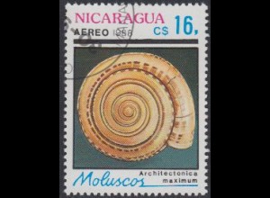 Nicaragua Mi.Nr. 2889 Muscheln und Schnecken, Sonnenschnecke (16)