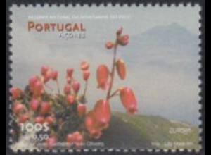 Portugal-Azoren Mi.Nr. 470 Europa 99, Natur-+Nationalparks, Berg Pico (100/0,50)