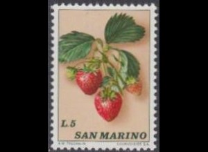 San Marino Mi.Nr. 1035 Erdbeere (5)