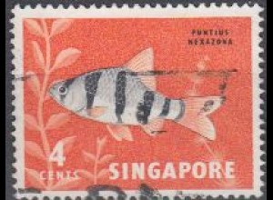 Singapur Mi.Nr. 55 Freim. Fauna und Flora, Sechsgürtelbarbe (4)