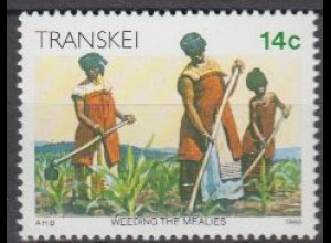 Südafrika - Transkei Mi.Nr. 184 Freim. Kultur der Xhosa, Bauern a.Maisfeld (14)