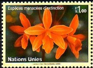 UNO Genf Mi.Nr. 510 Gefährdete Arten, Orchidee Laelia mileri (1,00)