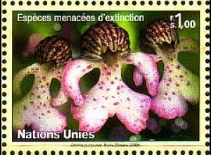 UNO Genf Mi.Nr. 513 Gefährdete Arten, Orchidee Knabenkraut (1,00)