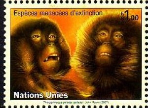 UNO Genf Mi.Nr. 561 Gefährdete Arten Primaten, Dschelada (1,00)