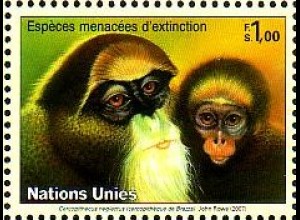 UNO Genf Mi.Nr. 562 Gefährdete Arten Primaten, Meerkatze (1,00)