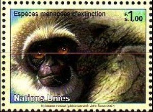 UNO Genf Mi.Nr. 564 Gefährdete Arten Primaten, Silbergibbon (1,00)