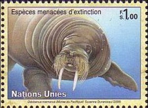 UNO Genf Mi.Nr. 588 Gefährdete Arten Meerestiere, Walroß (1,00)