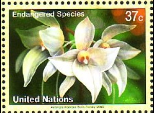 UNO New York Mi.Nr. 976 Gefährdete Arten, Orchidee Aerangis modesta (37)