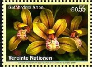 UNO Wien Mi.Nr. 437 Gefährdete Arten, Orchidee Cymbidium ensofolium (0,55)