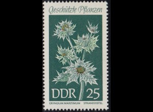D,DDR Mi.Nr. 1460 Geschützte Pflanzen, Stranddistel (25)