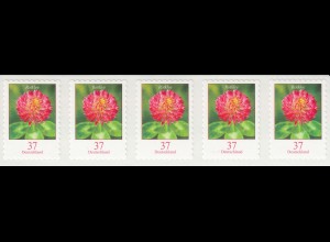 D,Bund MiNr. 3663 Freim.Blumen, Rotklee skl. aus Rolle (Fünferstreifen)