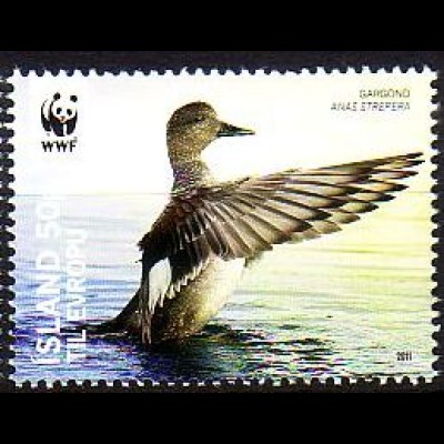 Island Mi.Nr. 1301 WWF: Gefährderte Vogelarten, Schnatterente