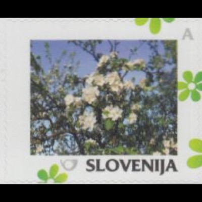 Slowenien Mi.Nr. 1098 Meine Marke, Jahreszeiten, Frühling, Baumblüte, skl. (A)