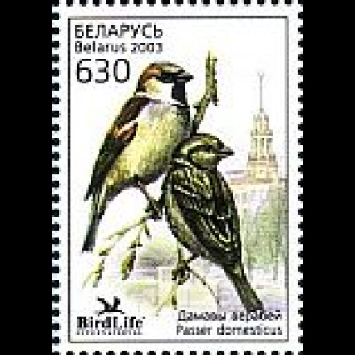 Weißrußland Mi.Nr. 485 Vogel des Jahres, Haussperling (630)