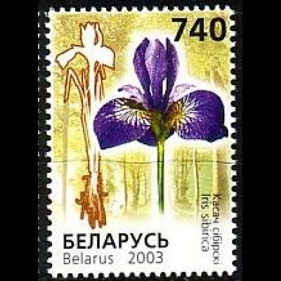 Weißrußland Mi.Nr. 491 Bedrohte Pflanzen Schwertlilie (740)