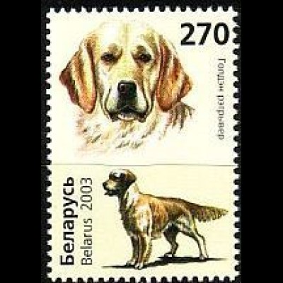 Weißrußland Mi.Nr. 502 Hunde Golden Retriever (270)
