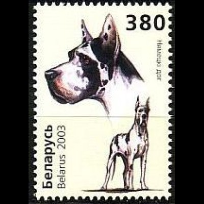 Weißrußland Mi.Nr. 503 Hunde Deutsche Dogge (380)