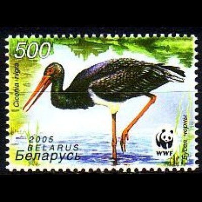 Weißrußland Mi.Nr. 597 Naturschutz, Schwarzstorch (500)