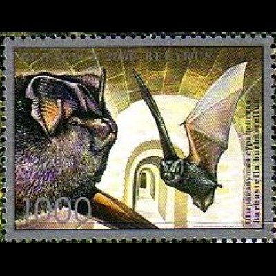 Weißrußland Mi.Nr. 639 Fledermäuse, Mopsfledermaus (1000)