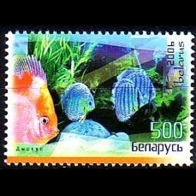 Weißrußland Mi.Nr. 651 Diskusfische (500)