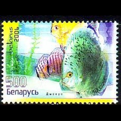 Weißrußland Mi.Nr. 654 Diskusfische (500)