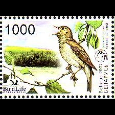 Weißrußland Mi.Nr. 662 Vogel des Jahres, Sprosser (1000)