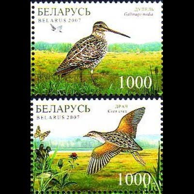 Weißrußland Mi.Nr. 670-71 Naturschutzgebiete Cepkelis + Katra (2 Werte)