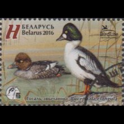 Weißrussland MiNr. 1108 Vogel des Jahres, Schellente (H)