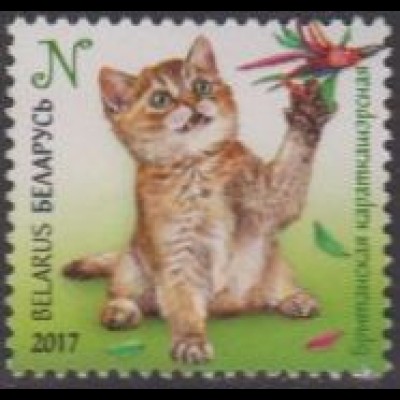 Weißrussland MiNr. 1172 Kindermarken, Junge Katzen, British Shorthair (N)