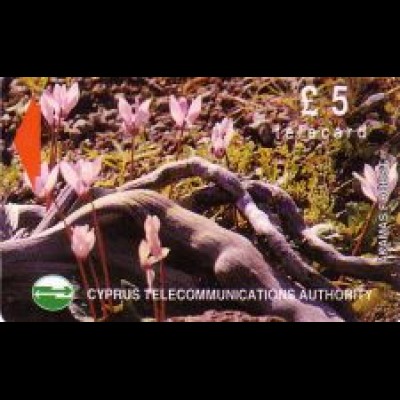Telefonkarte Zypern, Pflanzen Akamas Forest (2), 5