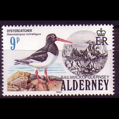Alderney Mi.Nr. 13 Austernfischer (9)