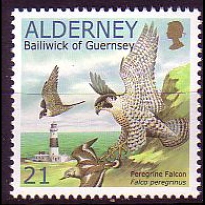 Alderney Mi.Nr. 145 A Wanderfalke schlägt Steinwälzer (21)