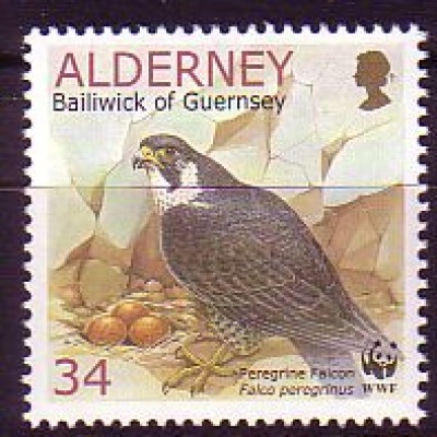Alderney Mi.Nr. 147 A Wanderfalke am Gehege (34)