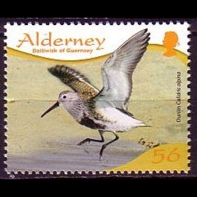 Alderney Mi.Nr. 355 Watvögel, Alpenstrandläufer (56)