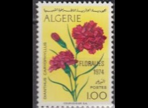 Algerien Mi.Nr. 628 Gartenschau Floralies 1974, Nelken (1,00)