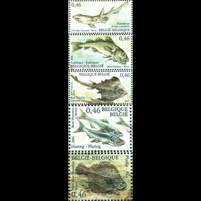 Belgien Mi.Nr. 3581-85 Natur, Fische der Nordsee (5 Werte)